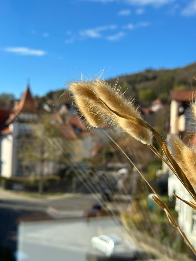 Turm.Blick Daire Goslar Dış mekan fotoğraf