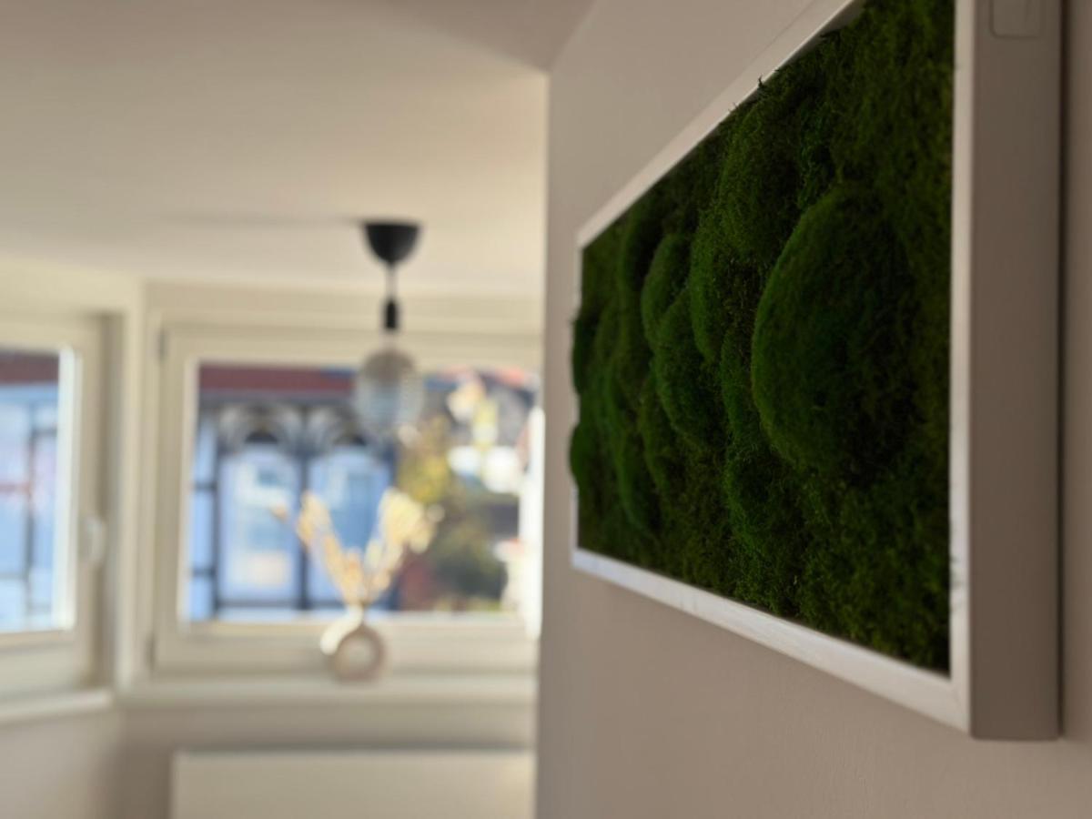 Turm.Blick Daire Goslar Dış mekan fotoğraf